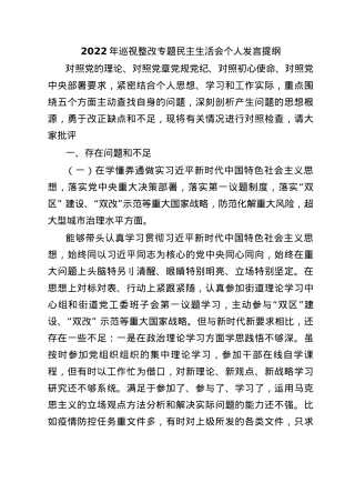 2022年巡视整改专题民主生活会个人发言提纲.docx