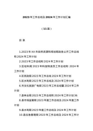 (11篇)2023年工作总结及2024年工作计划汇编.docx