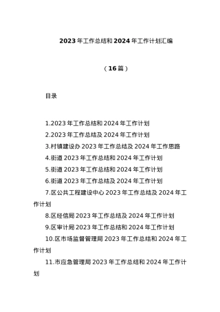 (16篇)2023年工作总结和2024年工作计划汇编.docx