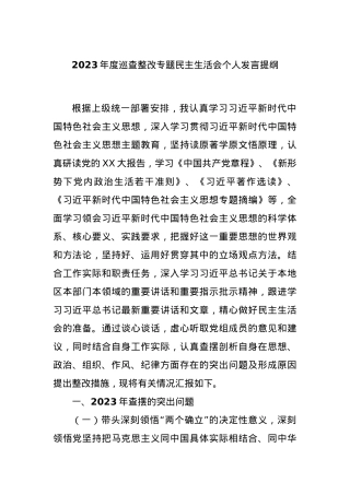 2023年度巡查整改专题民主生活会个人发言提纲.docx