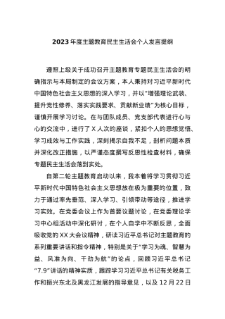 2023年度主题教育民主生活会个人发言提纲.docx