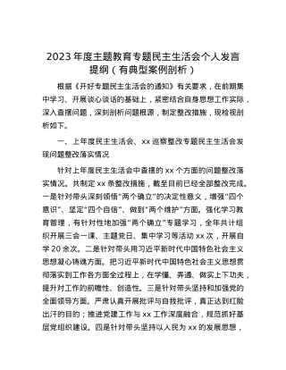 2023年度主题教育专题民主生活会个人发言提纲（有典型案例剖析）.docx