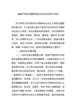 2023年度主题教育组织生活会支部班子发言.docx