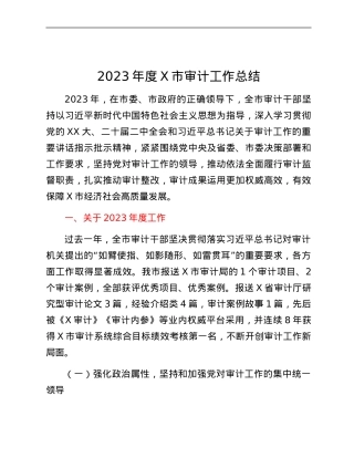 2023年度X市审计工作总结.docx
