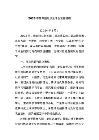 2023年度专题组织生活会发言提纲..docx
