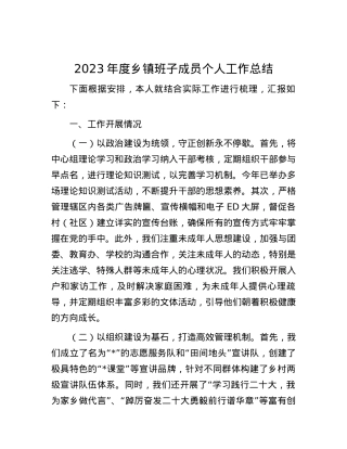 2023年度乡镇班子成员个人工作总结.docx