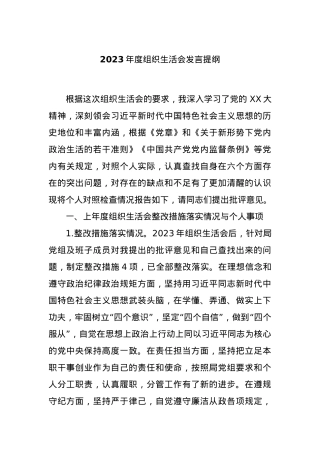 2023年度组织生活会发言提纲.docx
