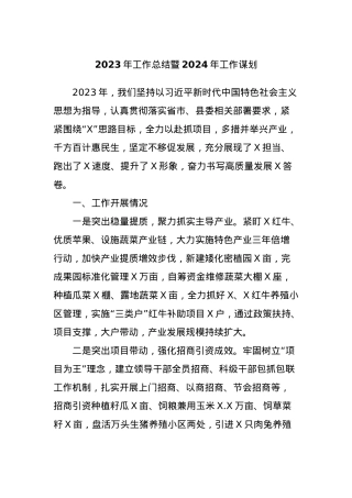 2023年工作总结暨2024年工作谋划.docx