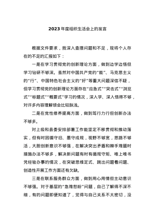 2023年度组织生活会上的发言..docx