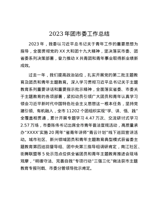 2023年团市委工作总结.docx