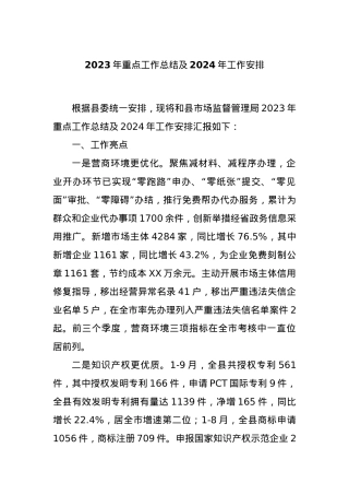 2023年重点工作总结及2024年工作安排.docx