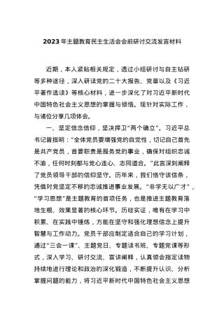 2023年主题教育民主生活会会前研讨交流发言材料.docx