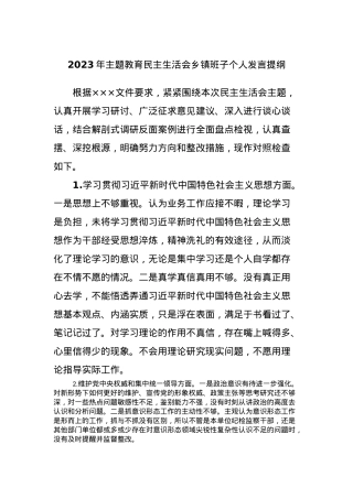 2023年主题教育民主生活会乡镇班子个人发言提纲.docx