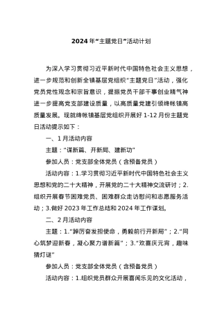 2024年“主题党日”活动计划..docx