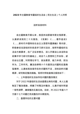 2023年主题教育专题组织生活会（民主生活）个人对照剖析发言材料.docx