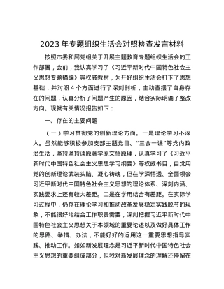 2023年专题组织生活会对照检查发言材料.docx