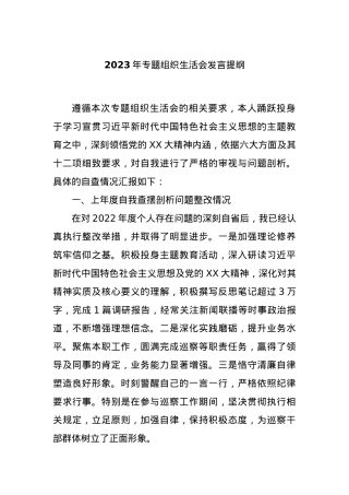 2023年专题组织生活会发言提纲.docx