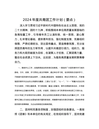 2024年度共青团工作计划（要点）.docx