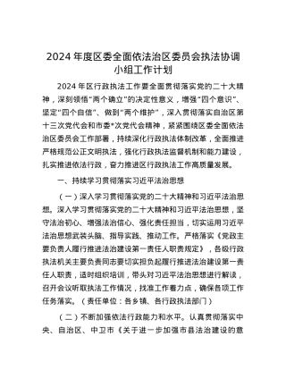 2024年度区委全面依法治区委员会执法协调小组工作计划.docx