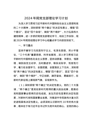 2024年局党支部理论学习计划.docx
