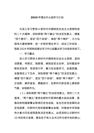 2024年理论中心组学习计划.docx