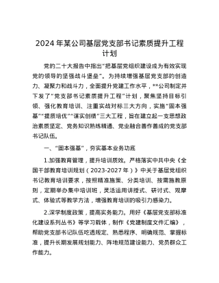 2024年某公司基层党支部书记素质提升工程计划.docx