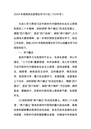 2024年某局党支部理论学习计划.docx