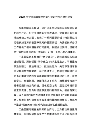 2024年全国两会精神招商引资研讨发言材料范文.docx