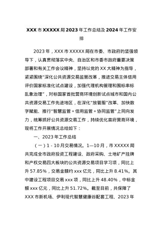 XXX市XXXXX局2023年工作总结及2024年工作安排.docx