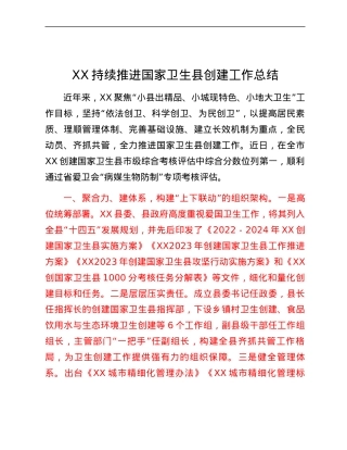XX持续推进国家卫生县创建工作总结.docx