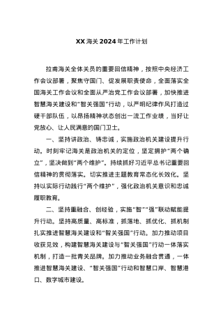 XX海关2024年工作计划.docx