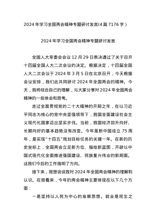 2024年学习全国两会精神专题研讨发言4篇.docx
