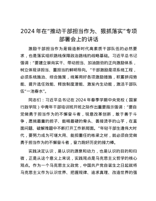 2024年在“推动干部担当作为、狠抓落实”专项部署会上的讲话.docx