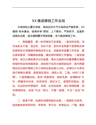 XX推进禁烧工作总结.docx