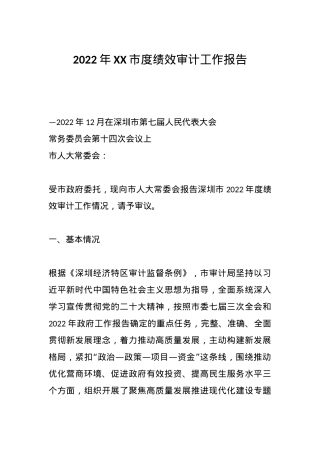 2022年XX市度绩效审计工作报告.docx