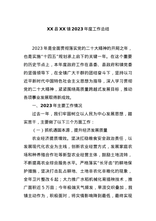 XX县XX镇2023年度工作总结.docx