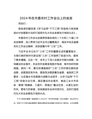 2024年在市委农村工作会议上的发言.docx