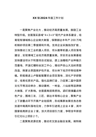 XX镇2024年度工作计划..docx