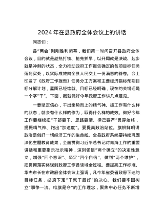 2024年在县政府全体会议上的讲话.docx