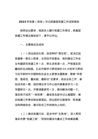 2023年党委（党组）书记抓基层党建工作述职报告.docx