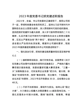 2023年度党委书记抓党建述职报告.docx
