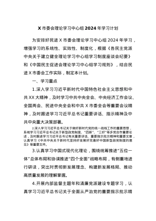 X市委会理论学习中心组2024年学习计划.docx
