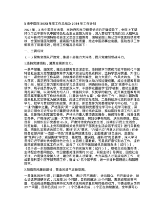 X市中医院2023年度工作总结及2024年工作计划.docx