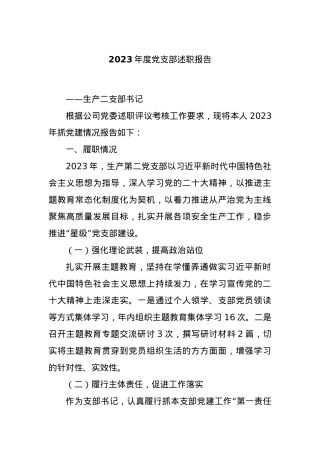 2023年度党支部述职报告..docx