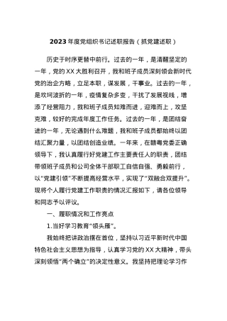 2023年度党组织书记述职报告（抓党建述职）.docx