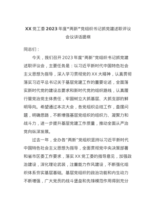 XX党工委2023年度“两新”党组织书记抓党建述职评议会议讲话提纲.docx