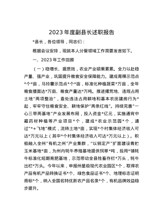 2023年度副县长述职报告.docx