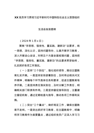 XX党员学习贯彻习近平新时代中国特色社会主义思想组织生活会发言提纲.docx
