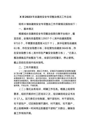 X镇2023年自建房安全专项整治情况工作总结.docx