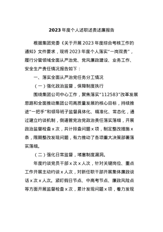2023年度个人述职述责述廉报告.docx